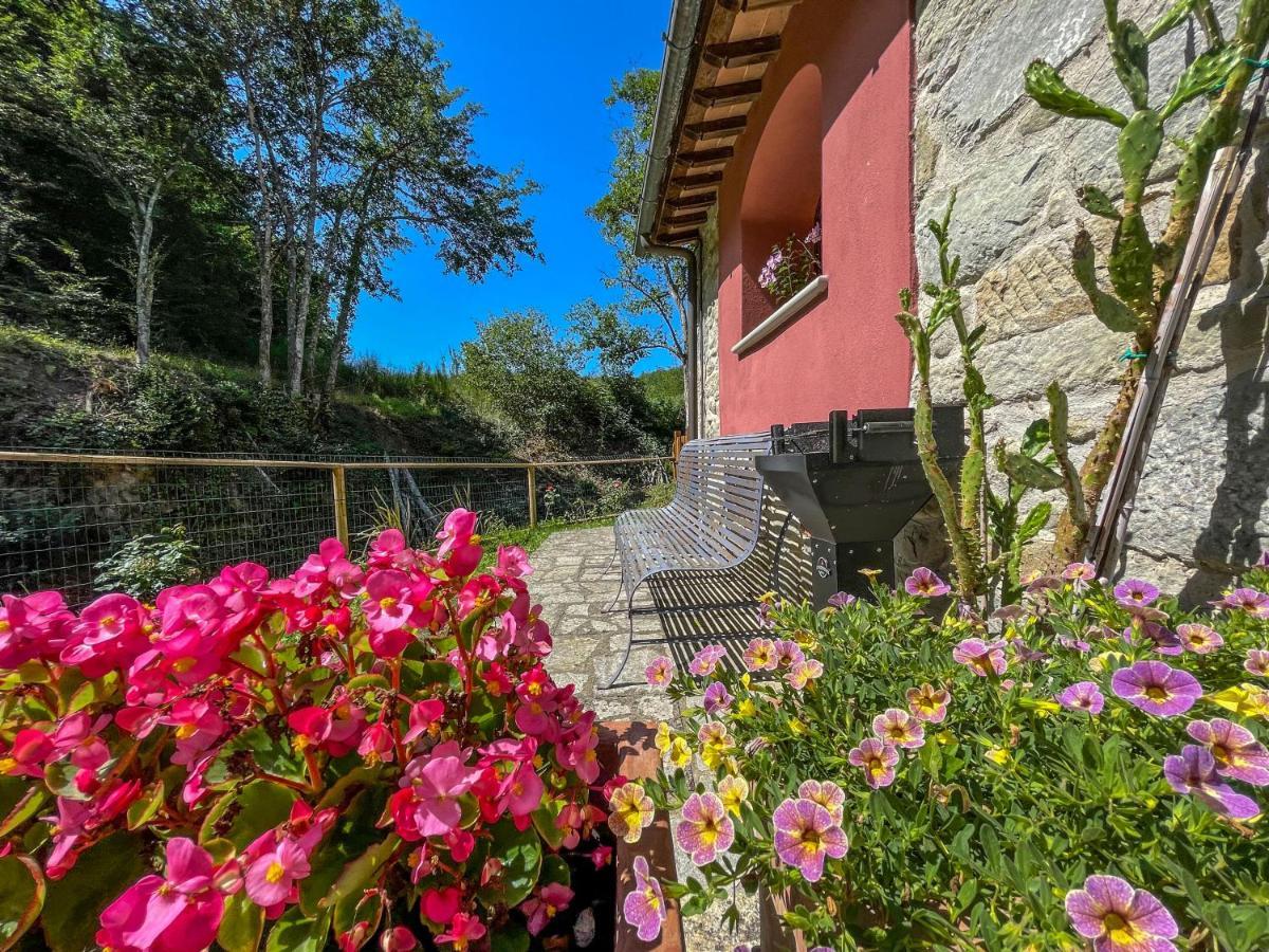 Mulino Di Rimaggio - Antico Mulino In Toscana Cavriglia Buitenkant foto
